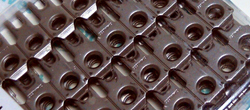 Grapa Alligator Rivet